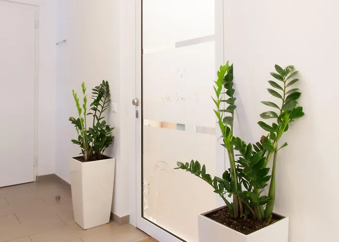 Apartament Sofie Wiedeń